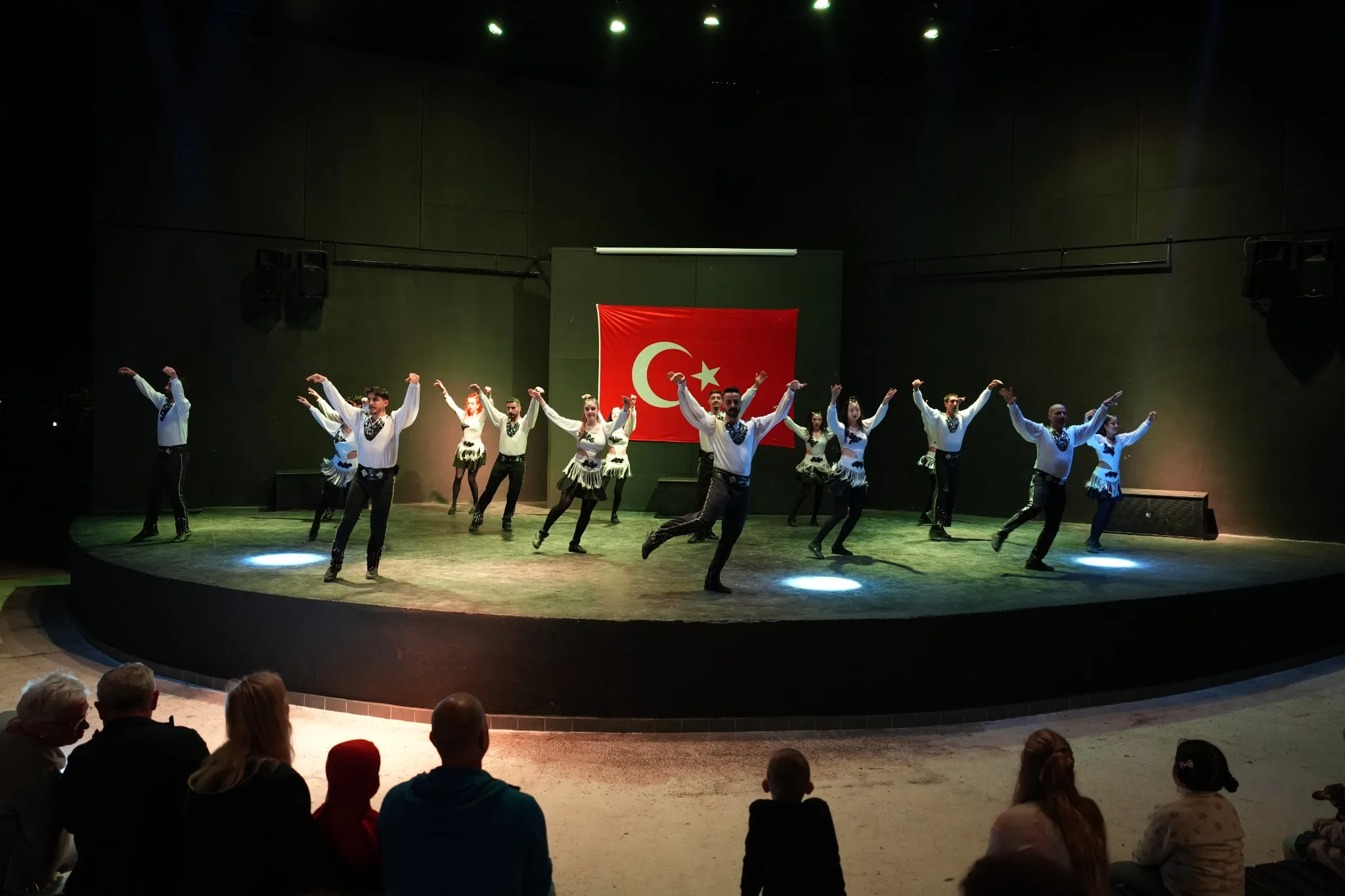 Dans Gösterisi